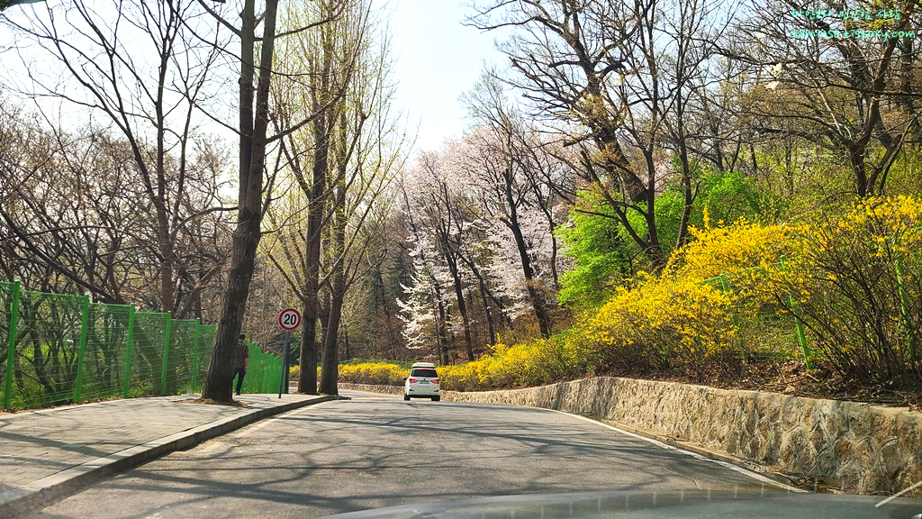 국립현충원-드라이브코스