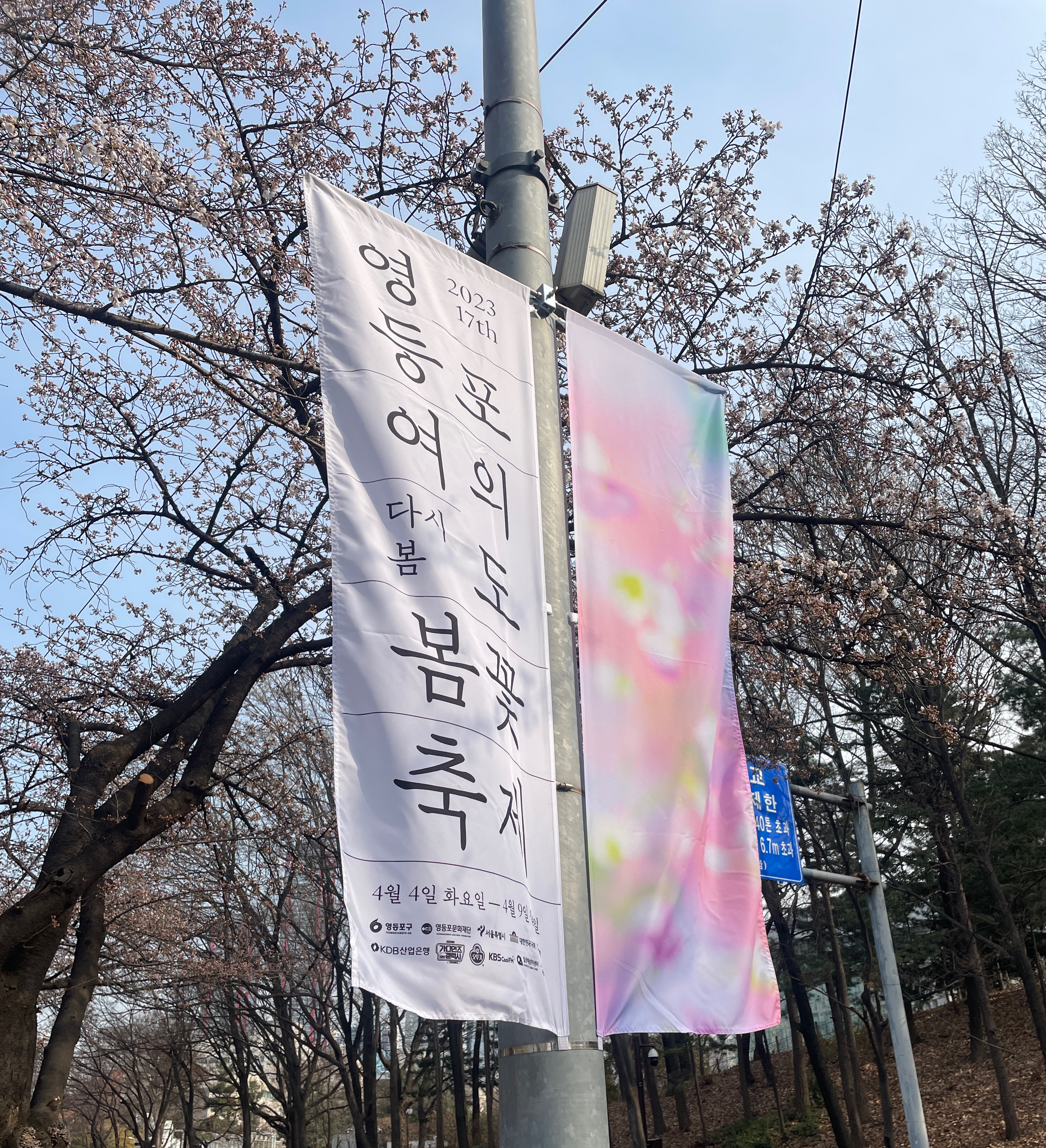 여의도 벚꽃 축제 일정