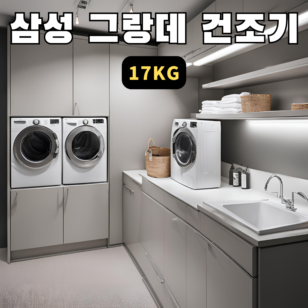 삼성그랑데건조기17kg