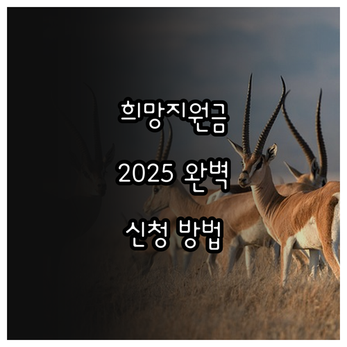 경상남도 희망지원금 2025 완벽 분..
