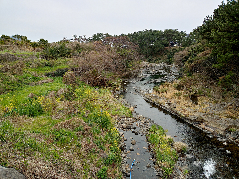 올레7코스: 강정천