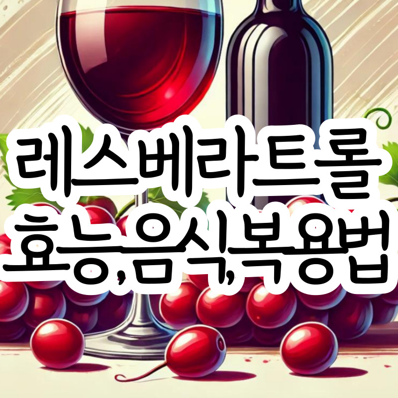 레스베라트롤 효능 부작용 음식 레스베라트롤 복용법