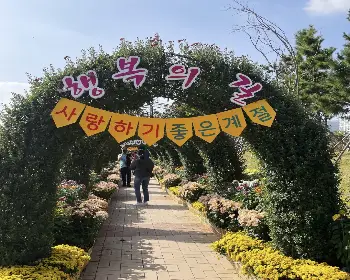 마산 가고파 국화축제_22