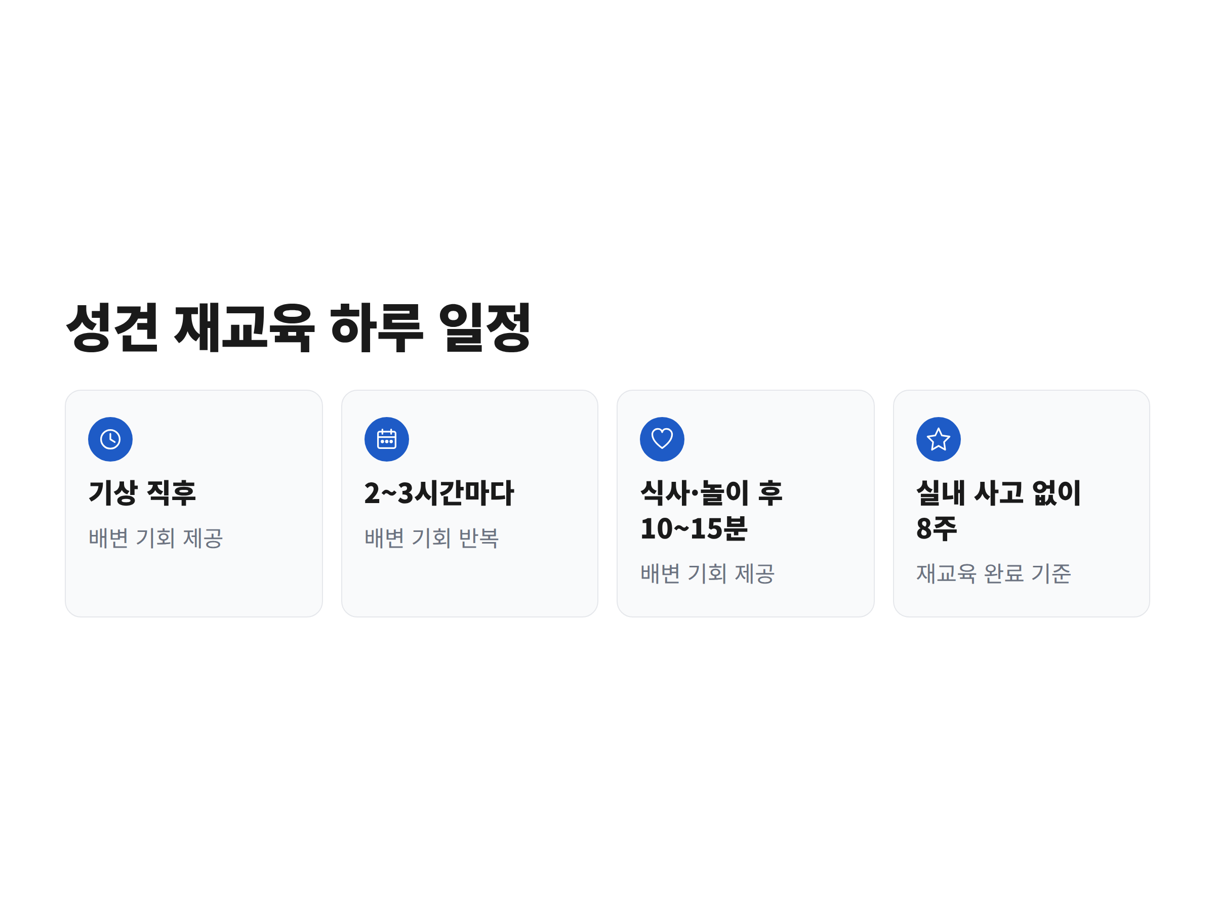 성견 배변 재교육의 하루 일정과 완료 기준을 시간 순서로 보여주는 안내 이미지