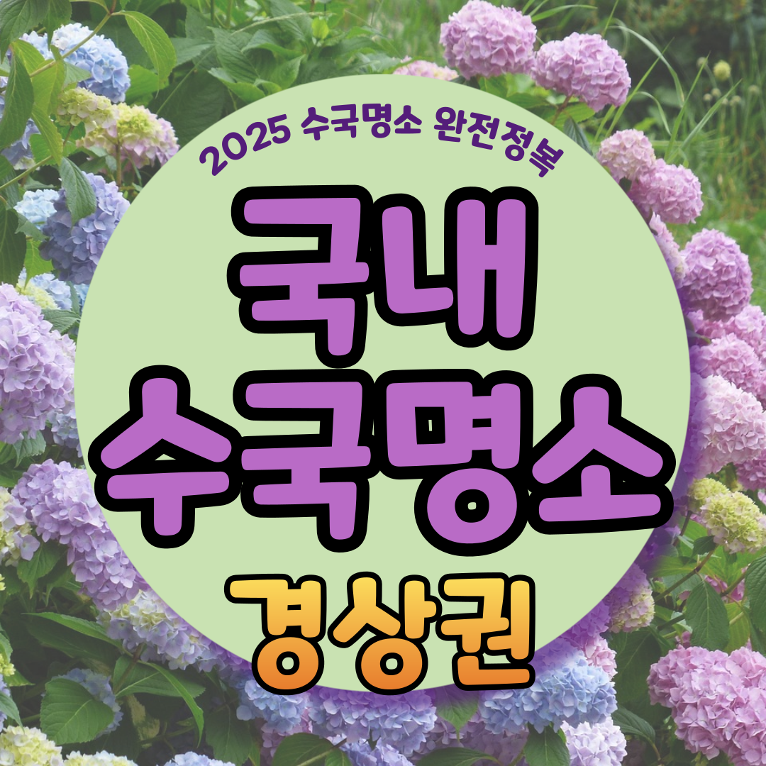 경상권 수국명소 추천 7곳, 여름의 정취를 만끽할 수 있는 곳