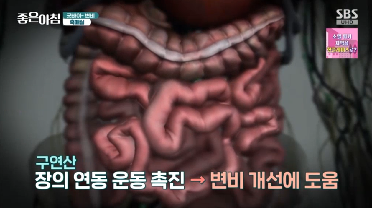 매실 흑매실 효능 매실짱아찌 매실청 만드는법