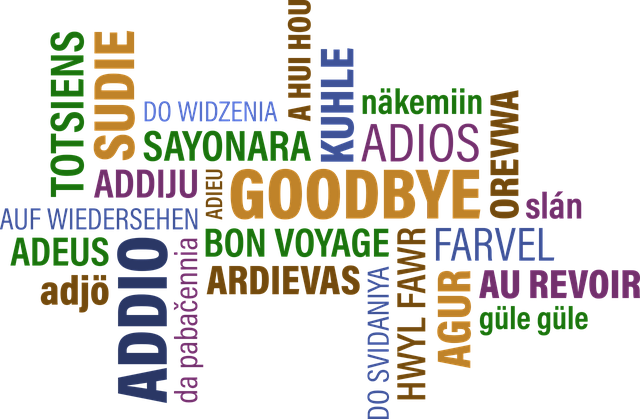 ‘내가 쓰는 말’이 곧 ‘내 감정의 방향’을 결정한다