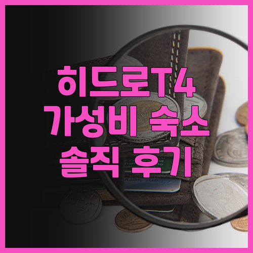 런던 히드로 여행객 필독! 홀리데이 ..
