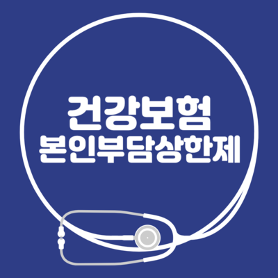건강보험 본인부담상한제