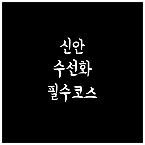 3월 신안 가볼만한곳 수선화 축제와 ..