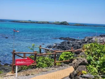 제주 여행 필수 코스 우도 배시간표 요금 예약 방법_17