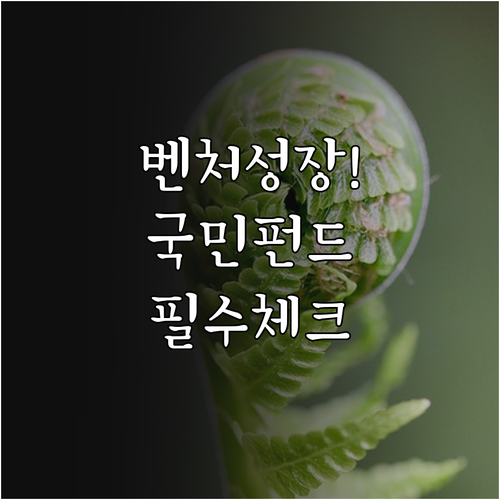 중소 벤처기업 성장을 돕는 국민성장펀..