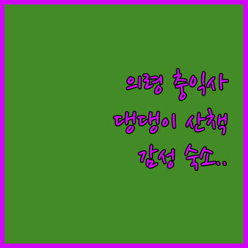 경남 의령 강아지랑 걷기 좋은 충익사..