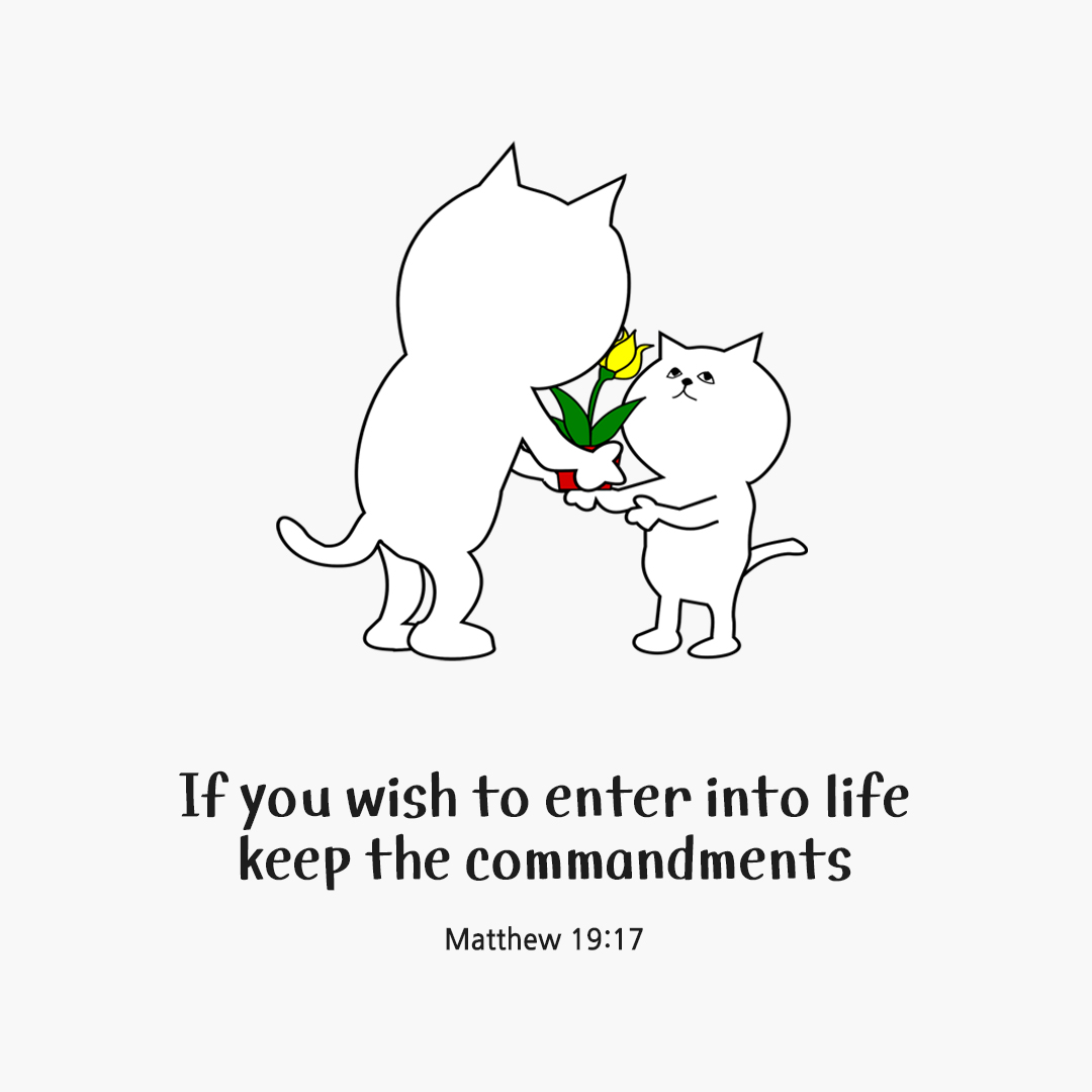 If you wish to enter into life, keep the commandments. (Matthew 19:17) by pieonane Daily Bible quote image
