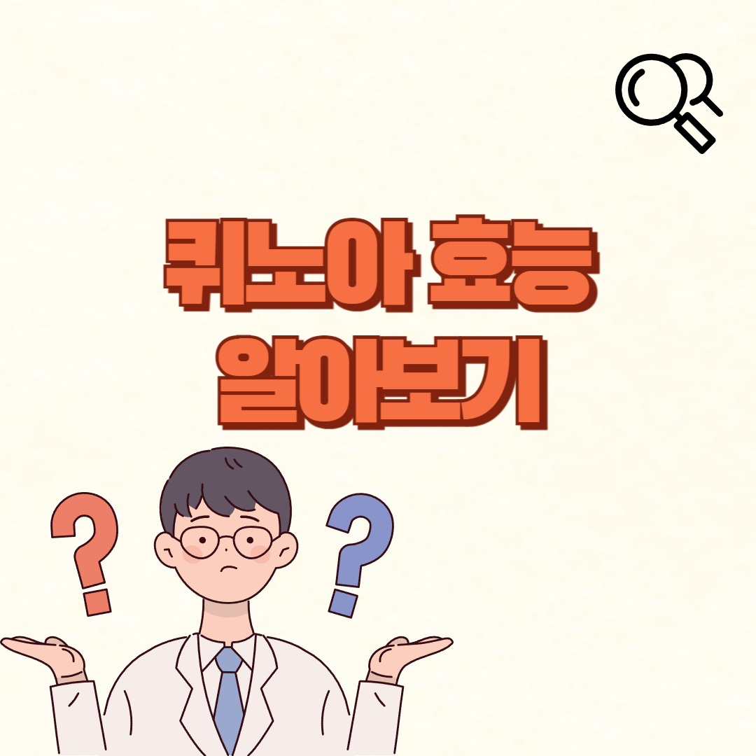 퀴노아의 효능✅