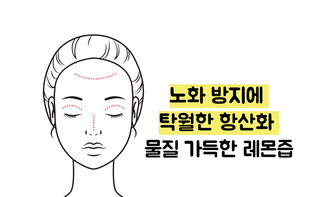 레몬즙 효능