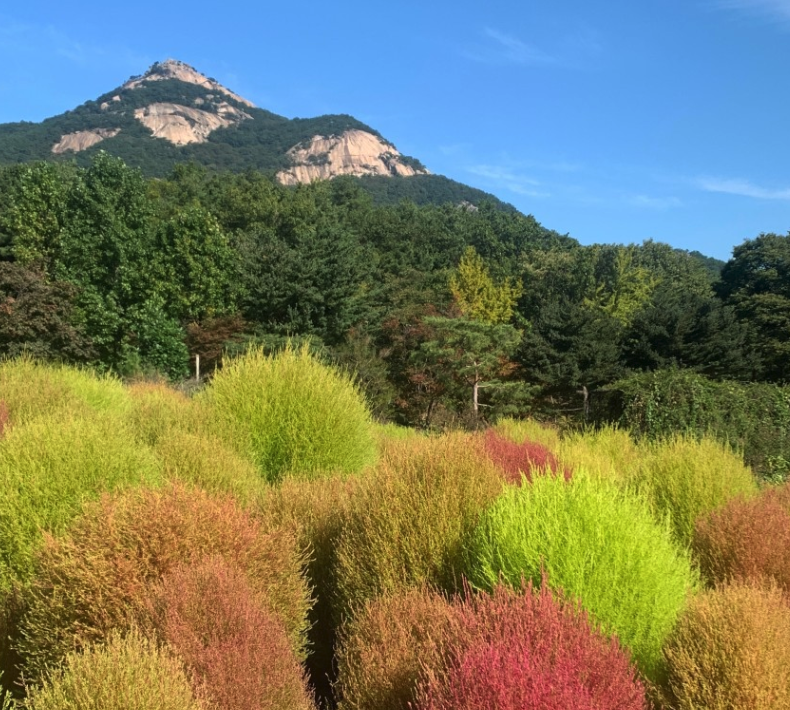 낭만등불축제 일정 체험 즐길거리 주차장 근처 맛집 정보