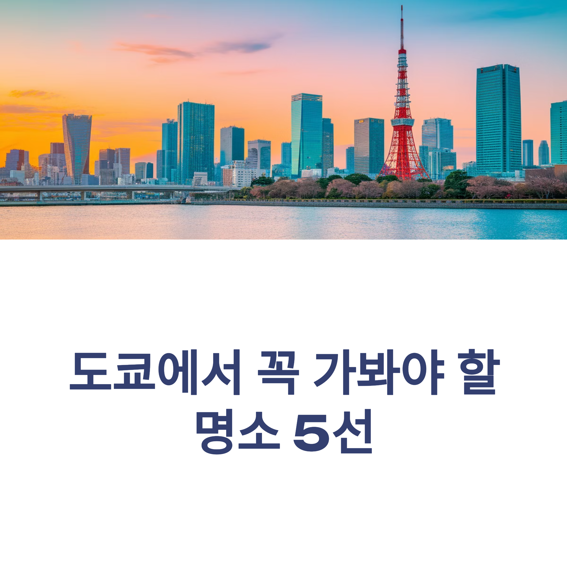도쿄에서 꼭 가봐야 할 명소 5선
