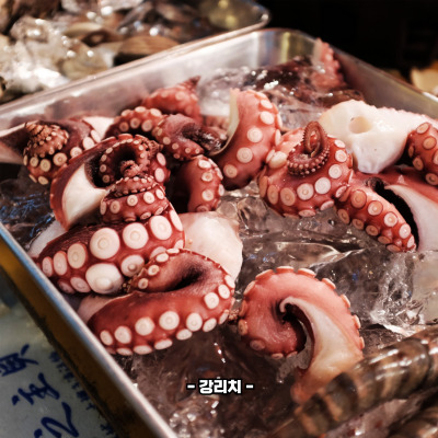 문어 효능
