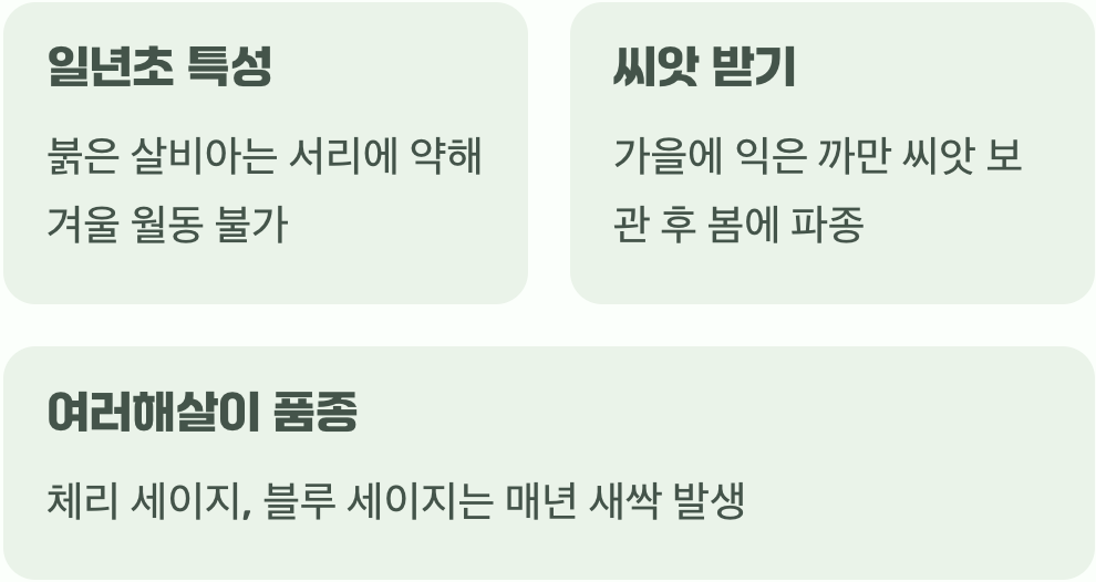 월동, 내년을 기약하는 법