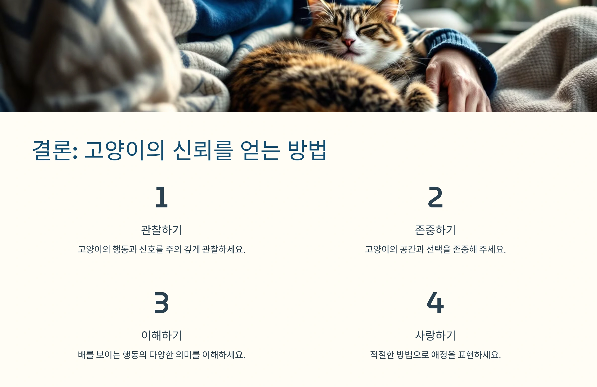 🐱 고양이가 배를 보이며 뒹구는 행동의 의미
