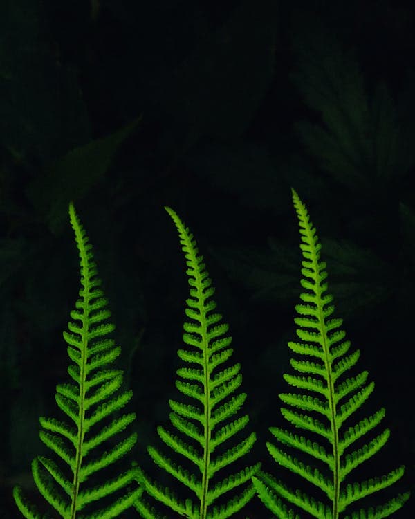 시민 과학과 지속 가능한 환경 보호의 연결 고리