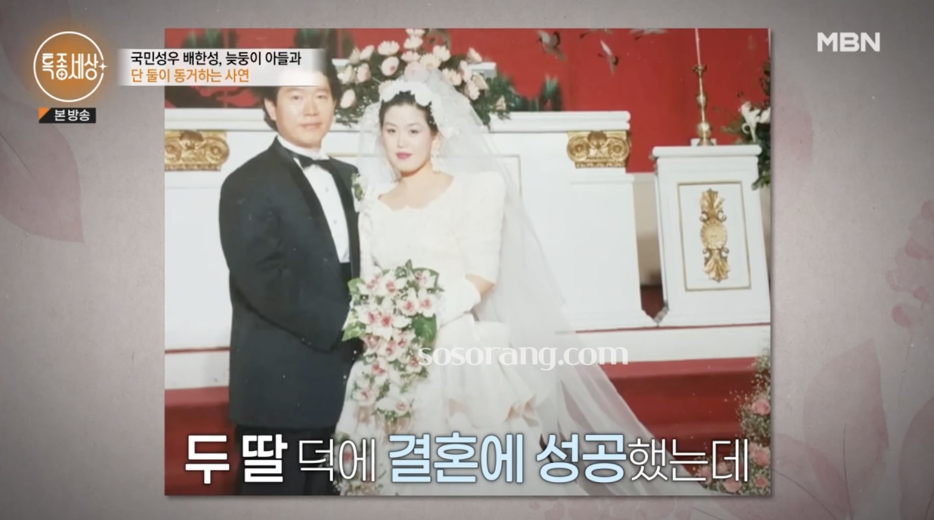 배한성 아내 재혼아내 결혼 가족 이야기 이미지