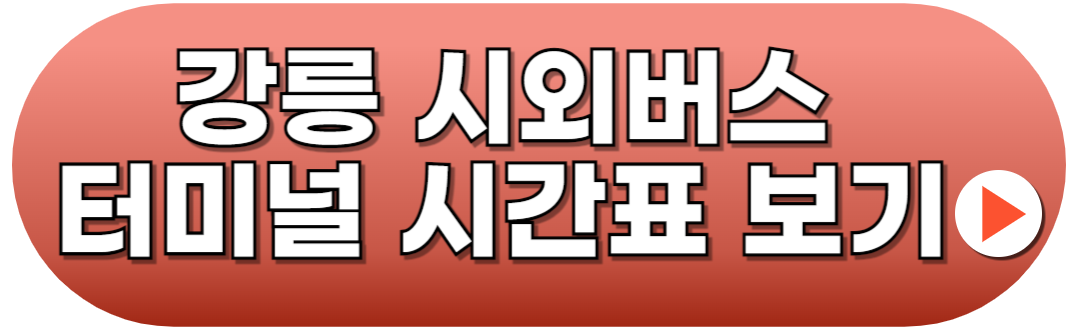 강릉시외버스터미널 시간표 예매방법