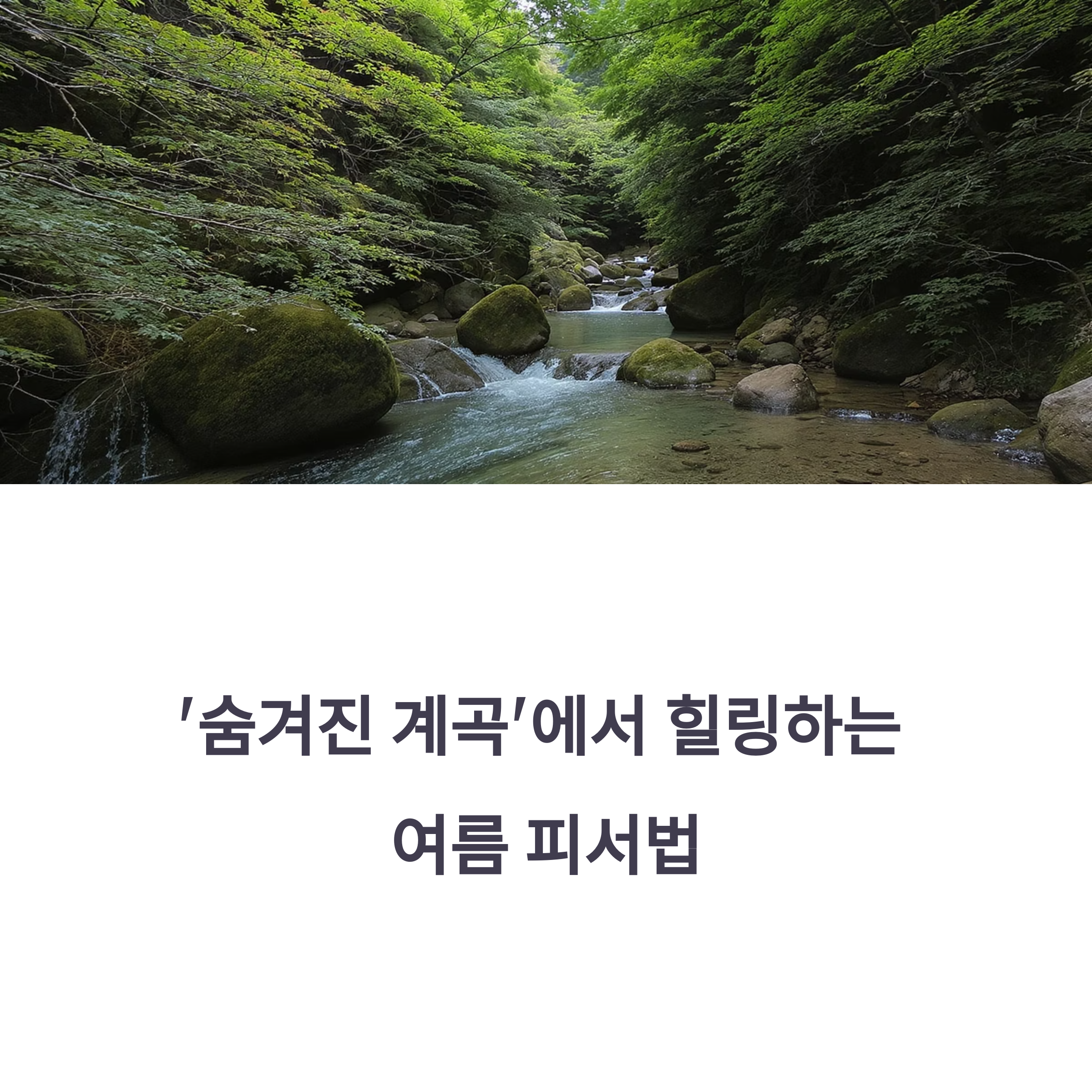 숨겨진 계곡에서 힐링하는 여름 피서