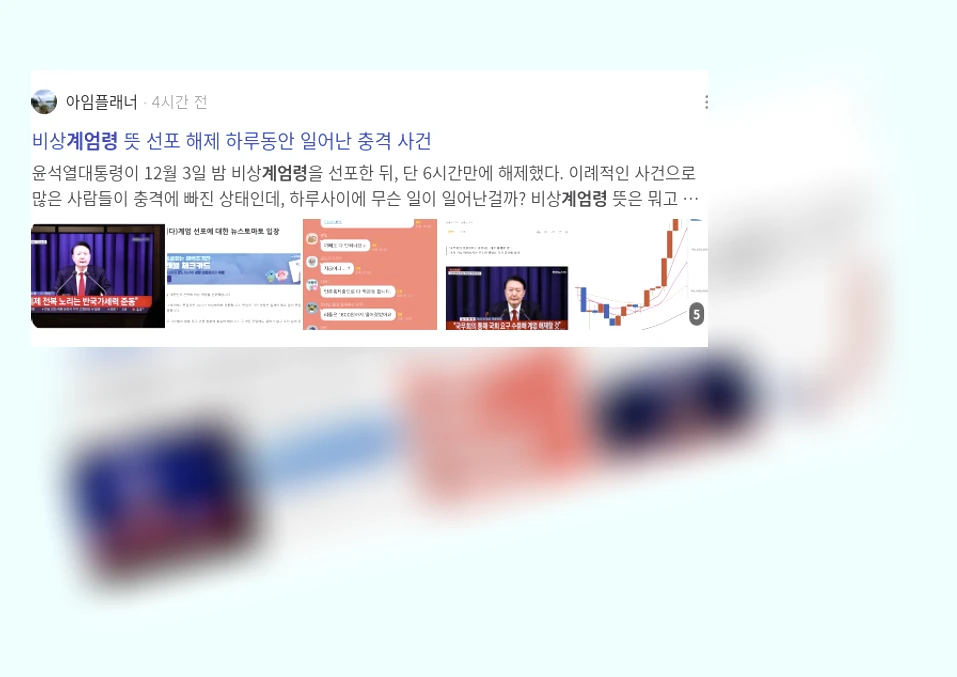 계엄령_2_subsection