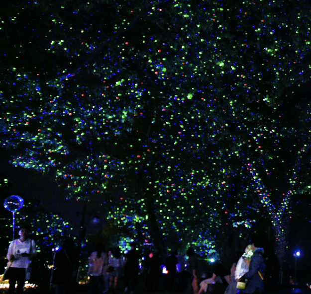 담양 대나무축제 야간 개장