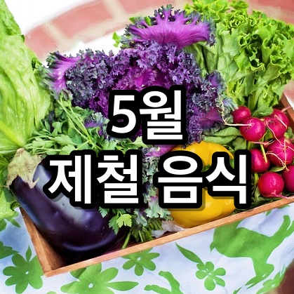 놓치면 안되는 5월 제철 음식 9가지