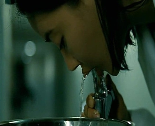 펜트하우스 코끼리 관련 이미지