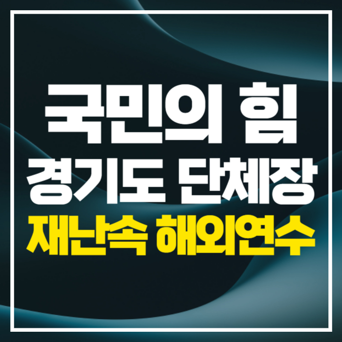경기도 단체장들 물난리 속 해외연수