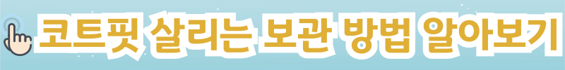 코트 보관 방법 알아보기