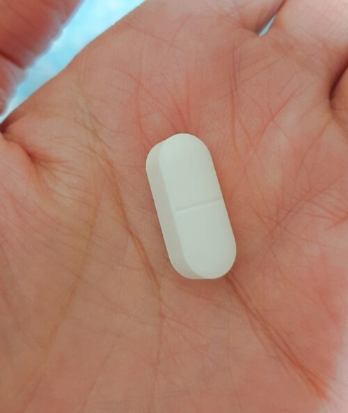 정제 사진