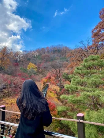 화담숲 단풍 절정시기 예약 방법까지 정리_25