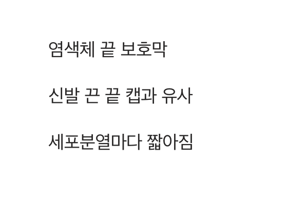 생명의 시계, '텔로미어'란 무엇일까?