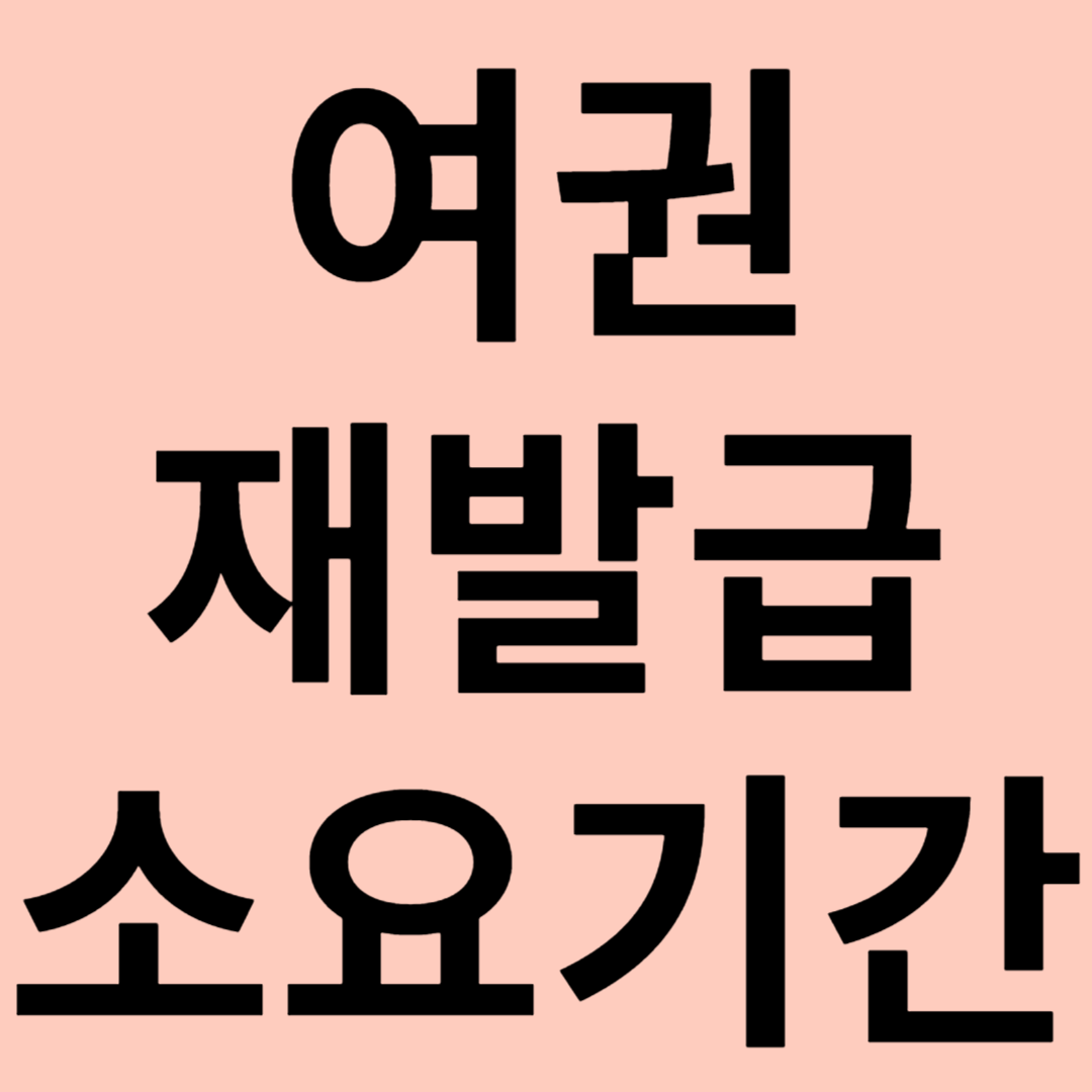 여권 재발급 소요 기간 안내 관련 이미지