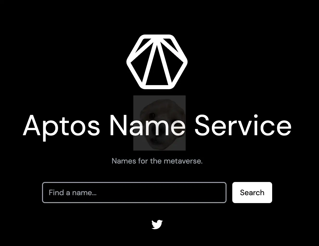 Aptos Name Service 홈페이지 사진