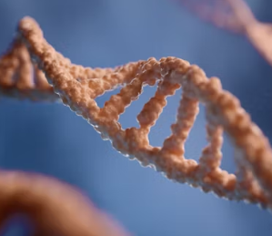 아토피 피부염 증상 근본 원인 치료 방법