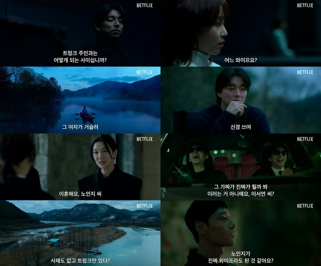 넷플릭스 트렁크