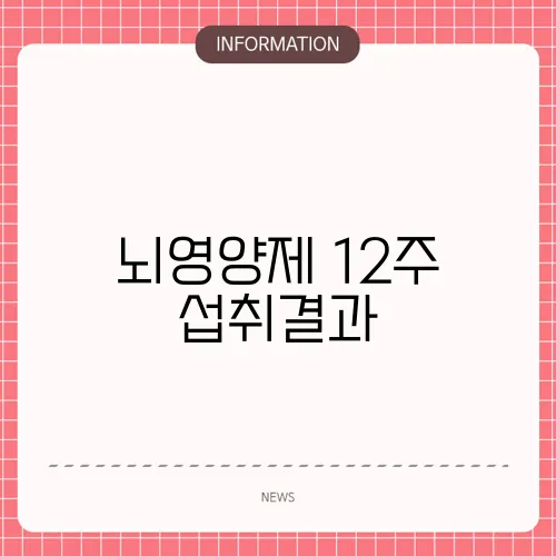 뇌영양제 12주 섭취결과