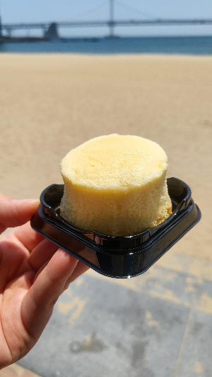 플레인 치플레
