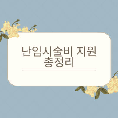 난임시술비 지원