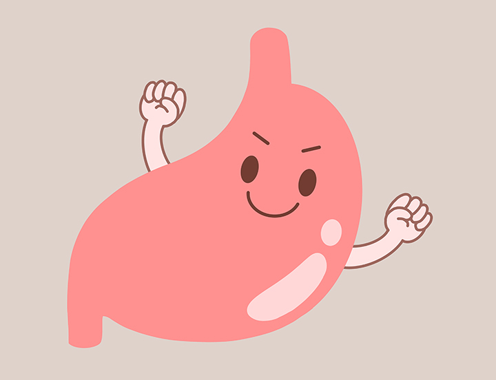 건강한-위의-외관