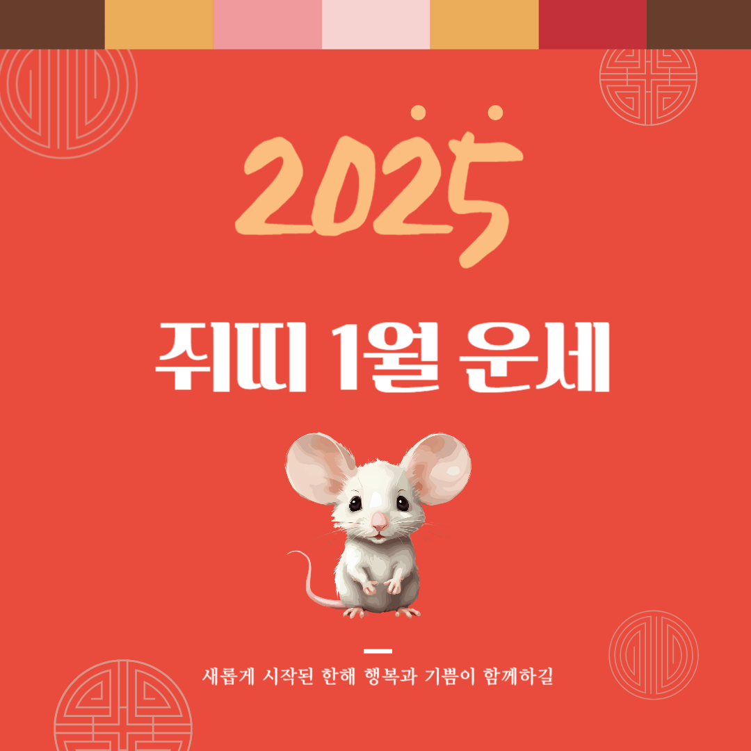 2025년 을사년 『쥐띠』 1월 운세