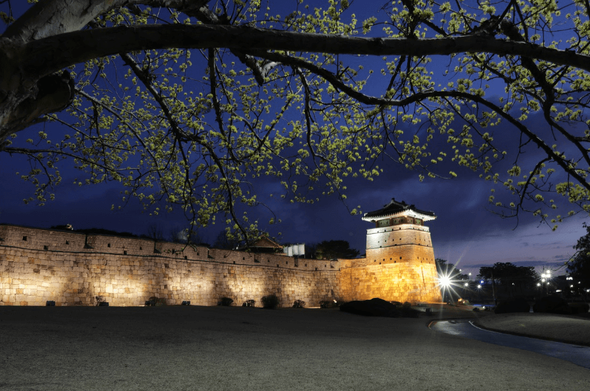 2025 구례 산수유 축제 관련사진