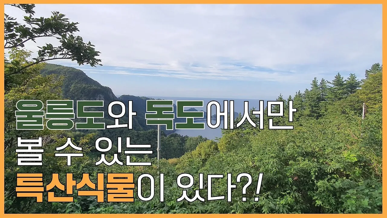 우리나라 특산식물 댕강나무와 댕강나무 꽃말 꽃댕강나무_7