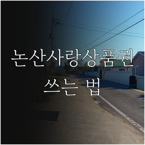 2025 논산사랑상품권: 지역 경제를..